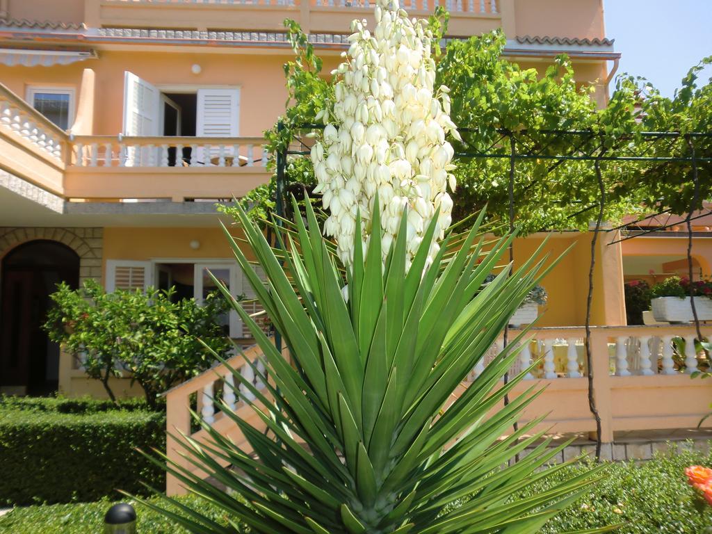 Guest House Sandra Ραμπ Εξωτερικό φωτογραφία